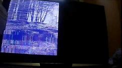 Panasonic TH-46PZ80B - Half picture with distortion - Diagnosis and Repair