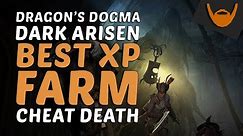 Dragon's Dogma: Dark Arisen - Best XP Farm / Easy Cheat Death Trophy