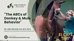 EI Cafe Webinar: "The ABCs of Donkey & Mule Behavior"
