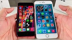 iPhone SE 2020 vs iPhone 7 Plus: Full Comparison Review (2021)