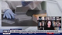 CDC: Deadly fungal infection Candida auris spreading at alarming rate | FOX 5 DC