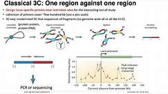 MCB 182 Lecture 10.3 - Chromatin conformation capture (3C, 4C) assays