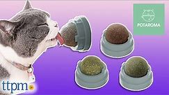 This Catnip Mounts to Your Wall! | Catnip Balls from Potaroma Review