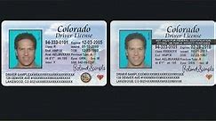 Driver's licenses providing backdoor for illegal immigrants?