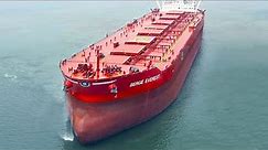 10 Largest Bulk Carrier Ships in The World