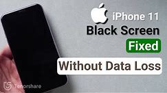 How to Fix iPhone 11 Black Screen without Data Loss 2023