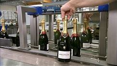 Pop the Bubbly! How Champagne is Made!