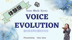 Voice Evolution basics