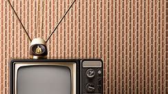 Television Isn’t Just One Animal Any More, It’s a Menagerie