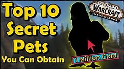 Top 10 Secret Pets You Can Obtain in World of Warcraft