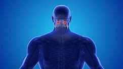 Neck acupressure point for neck pain and sleep better