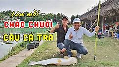 Chia Sẻ Cách Làm Mồi Cháo Chuối Câu Cá Tra Hiệu Quả | Câu Cá |Chung Nguyễn Fishing