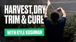 How to Harvest, Dry, Trim and Achieve a Perfect Cannabis Cure with Kyle Kushman