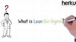 Lean Six Sigma Explained - animation