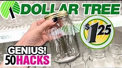 50 *BEST* $1 Dollar Tree Mason Jar HACKS & DIYs! + Organization SECRETS!