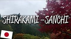 Shirakami-Sanchi - UNESCO World Heritage Site