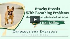 Brachy Breeds with Breathing Problems - The science and solution behind BOAS by Dr Jane Ladlow