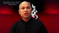 Tai chi combat tai chi chuan fight style use chen tai chi – lesson 6 - video Dailymotion