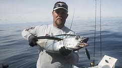 Oregon Coast Albacore Fishing With Live Bait & Iron