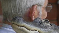 Alligator helps man with deep depression