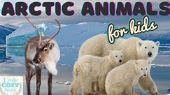 Learn about Arctic Animals For Kids- Educational READ ALOUD for Children
