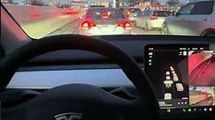 Tesla Model 3 MAX Speaker Volume Test