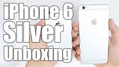 iPhone 6 Unboxing (Silver)