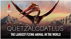 Quetzalcoatlus: The Largest Flying Animal EVER to Live | Dinosaur Documentary