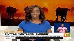 Cattle rustlers ‘cursed’: Elders from... - Citizen TV Kenya