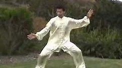 Wu Tai Chi Taiji