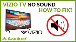 VIZIO TV No Sound (Digital Optical) - How to Fix it?