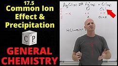 17.5 Common Ion Effect and Precipitation | General Chemistry