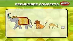 Maths For Class 1 : Pre Number Concepts | Learn Maths For Children