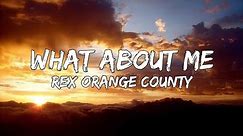 Rex Orange County - What About Me (Lyrics) | Television / So Far So Good