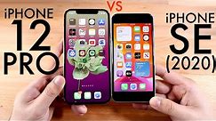 iPhone 12 Pro Vs iPhone SE (2020)! (Comparison) (Review)