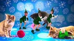 Elf Yourself: 12 Days of Christmas (Cats Version)