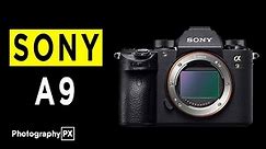 Sony a9 Mirrorless Camera Highlights & Overview