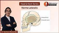 Norma Lateralis: An In-depth Exploration of side view of the skull with Dr. VB #anatomy