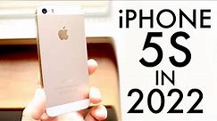 iPhone 5S In 2022! (Still Worth It?) (Review)