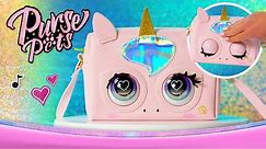 How to Care for Your Purse Pet! 🦄