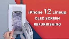 iPhone 12 Lineup OLED Screen Refurbishing Solution By REWA
