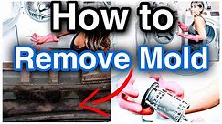 HOW TO REMOVE MOLD FROM YOUR WASHING MACHINE | FRONT LOAD GASKET MOLD REMOVAL | @myranda_achvan