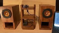 Handcrafted Decor speakers with JVC Wood Cone drivers