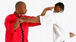 5 Animals of Kung Fu | Shaolin Kung Fu