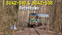 Pociąg retro na bocznicy wojskowej ! SU42-510 i SU42-536 Bożenkowo // Retro train at military siding
