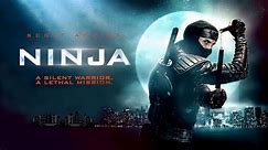 Ninja (thriller/action movie, 2009) (ENG) HD