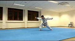HAN MU DO Kwon Bub Bo - Korea's oldest Fist Form - by Master Tan Chuan Yang from Hanmudo Singapore