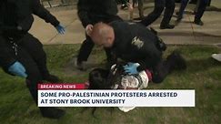 Several pro-Palestinian protesters arrested at Stony Brook University