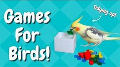 5 Games to Play with Your Bird! | BirdNerdSophie