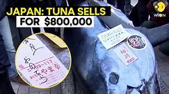 Tuna fish sells for nearly $800,000 at Japan's New Year auction | WION Originals